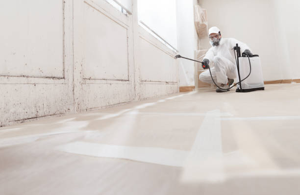 24/7 Emergency Mold Testing experts in Braintree, MA